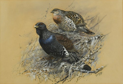Lot 258 - George Edward Lodge (1860-1954)