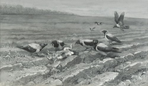 Lot 179 - George Edward Lodge (1860-1954)