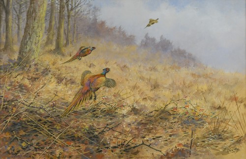 Lot 256 - George Edward Lodge (1860-1954)