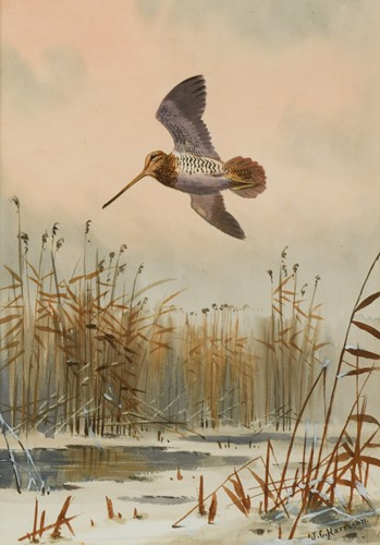 Lot 274 - John Cyril Harrison (1898-1985)