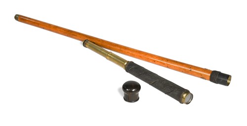 Lot 670 - An unusual 19th century malacca walking cane