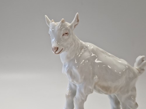 Lot 359 - A Meissen porcelain model of a goat, early 20th century