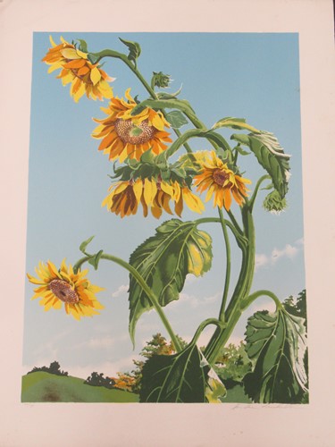 Lot 400 - A collection of 15 pictures by various artists...