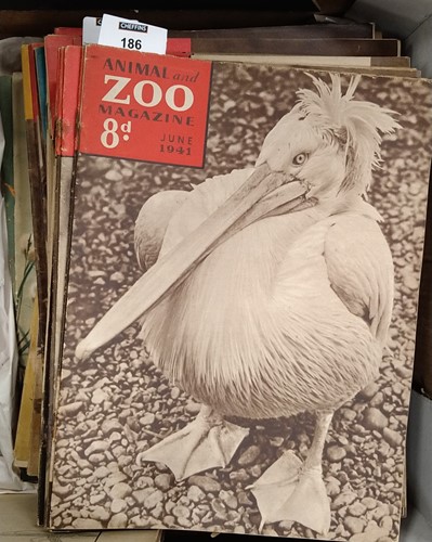 Lot 186 - A collection of 60 editions of 'Zoo: The...