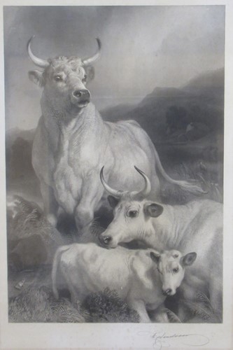 Lot 389 - Landseer. Wild Cattle at Chillingham,...