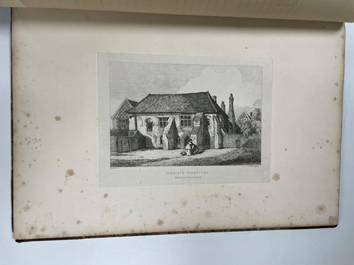 Lot 202 - RUSSEL (F) & W. HAGREEN