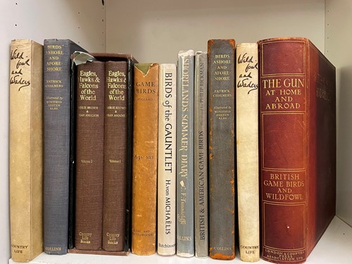 Lot 375 - Birds, game birds and wild fowling