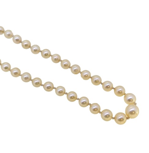 Lot 125 - A cultured pearl necklace