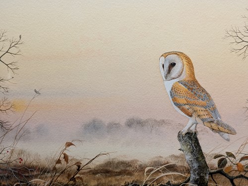Lot 327 - Peter Hayman Owl watercolour, together with...