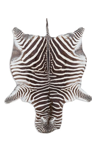 Lot 768 - Taxidermy, a Zebra skin rug