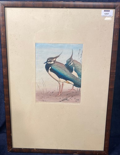Lot 177 - Allen William Seaby (1867-1953)