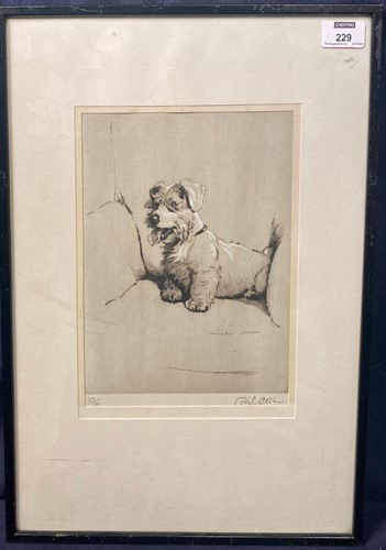 Lot 229 - Cecil Charles Windsor Aldin (1870-1935)