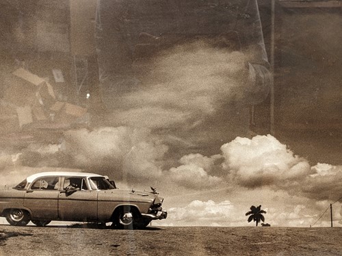 Lot 545 - Zephyr in the desert photographic print 32.5 x...