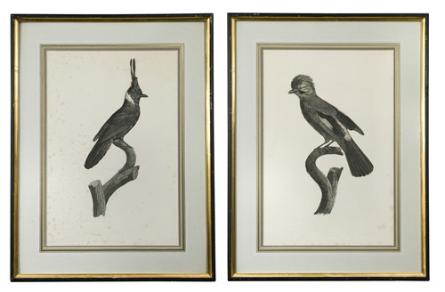 Lot 42 - After Jacques Barraband (1768-1809)