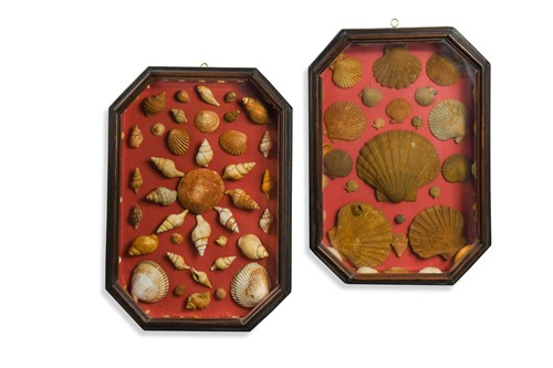 Lot 531 - A pair of framed shell montages