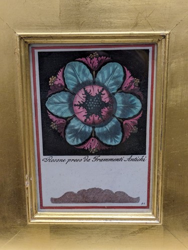 Lot 386 - Five gilt framed flower prints, 18cm x 12.5cm;...