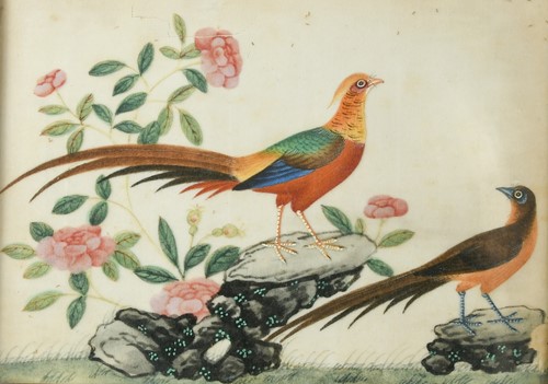 Lot 82 - Chinese School, 19th century, six studies of Fruit, Flowers and Pheasants, on pith paper