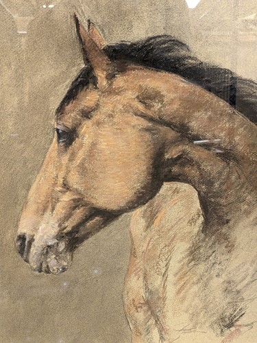 Lot 553 - Peter Rasmussen (b. 1927) Study of a horse,...