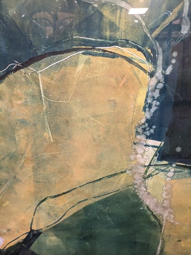 Lot 469 - Alison Mcgill