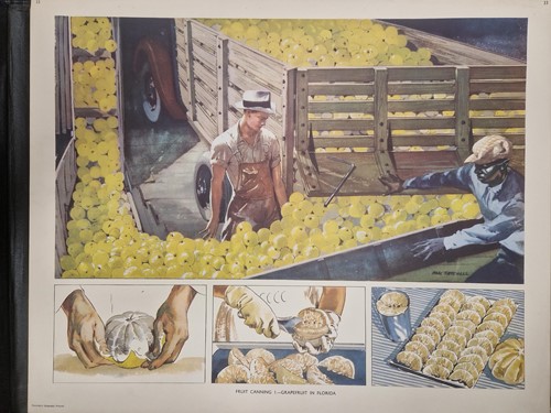Lot 646 - A folio of approximately 74 reproduction prints
