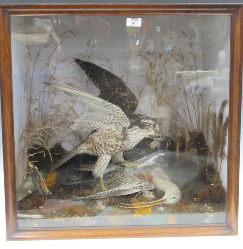 Lot 301 - A taxidermy of a bird of prey in action, cased,...