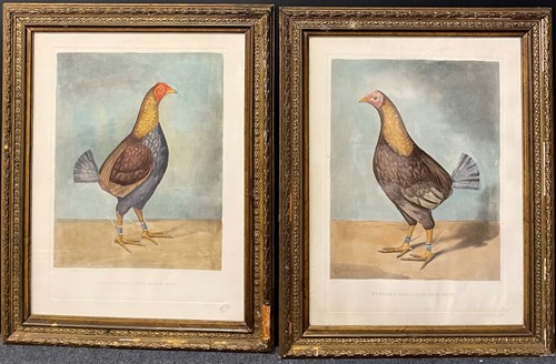 Lot 607 - A pair of colour etchings of cockerels, both...