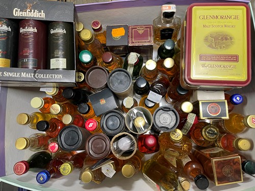 Lot 973 - Whisky and brandy miniatures