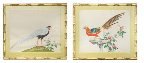 Lot 53 - Chinese School 19th century, four paintings of birds