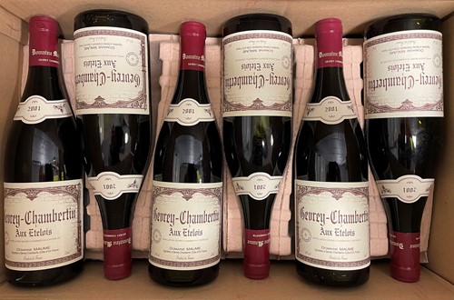 Lot 1038 - Gevrey-Chambertin, Aux Etelois, 2001