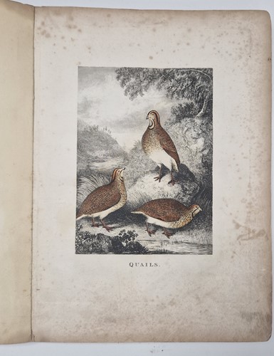 Lot 238 - [HOWITT (Samuel) Game birds and animals]