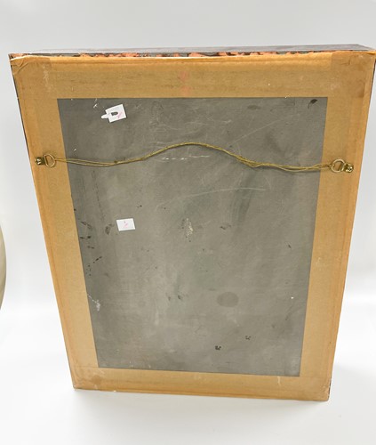 Lot 609 - An early 20th century softshell turtle skeleton (trionychidae)