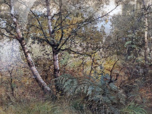 Lot 377 - Charles E. Stiffe (British. 1863-1926)