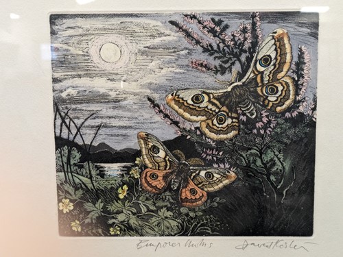 Lot 442 - David Koster (British. 1926-2015)