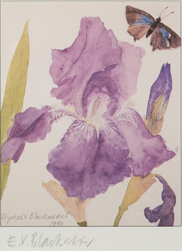 Lot 449 - Dame Elizabeth Blackadder DBE, RA, RSA (1931-2021)