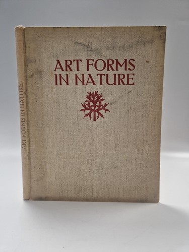 Lot 422 - BLOSSFELDT (Professor Karl)