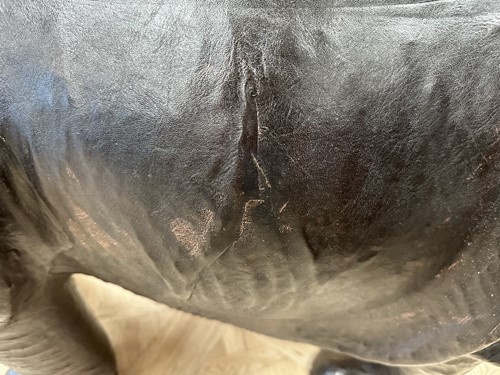 Lot 117 - A large scale leather covered rhino