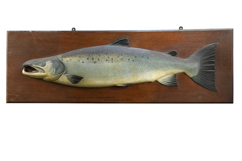 Lot 754 - A carved and painted wood 40lb salmon trophy