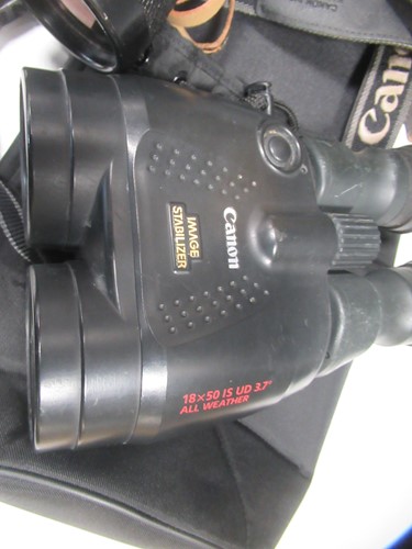 Lot 140 - A pair of Carl Zeiss Jena binoculars, a Canon...