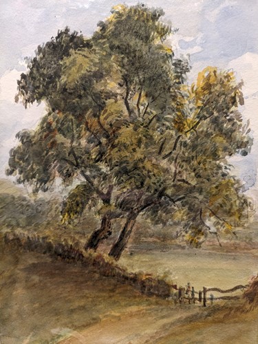 Lot 501 - A large quantity of original watercolour and ink studies by John Wilson (1808-1891) of Seacroft Hall, nr Leeds