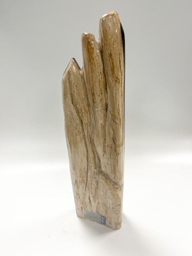 Lot 614 - A petrified wood specimen