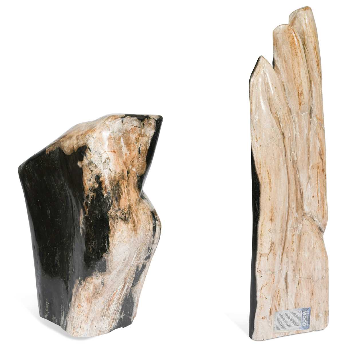 Lot 614 - A petrified wood specimen