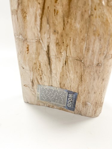 Lot 614 - A petrified wood specimen