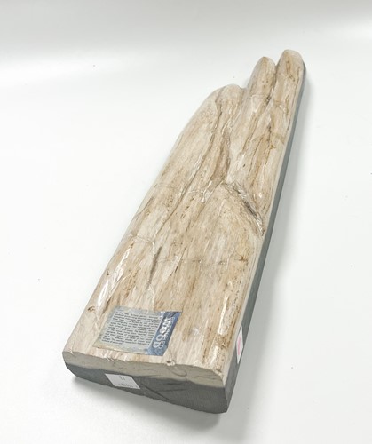 Lot 614 - A petrified wood specimen