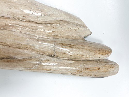 Lot 614 - A petrified wood specimen