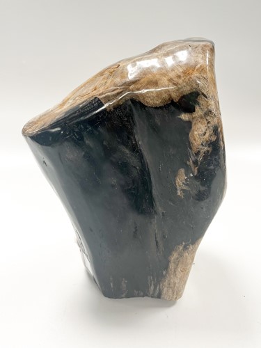 Lot 614 - A petrified wood specimen