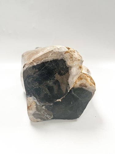 Lot 614 - A petrified wood specimen