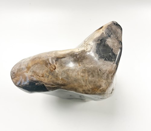 Lot 614 - A petrified wood specimen