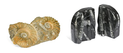 Lot 610 - A double ammonite fossil