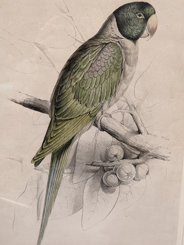 Lot 413 - Edward Lear (British. 1812-1888)