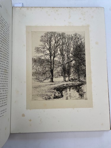 Lot 288 - SUMNER (Heywood)
